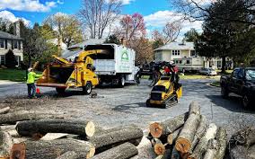 Best Firewood Processing and Delivery  in Yorktown Heights, NY