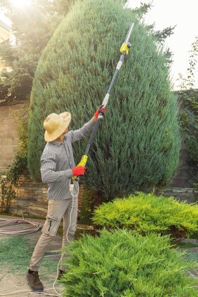 Best Tree Preservation Services  in Yorktown Heights, NY