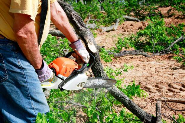 Best Soil Testing and Treatment  in Yorktown Heights, NY